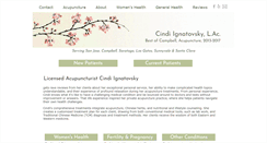 Desktop Screenshot of healthinharmonytcm.com